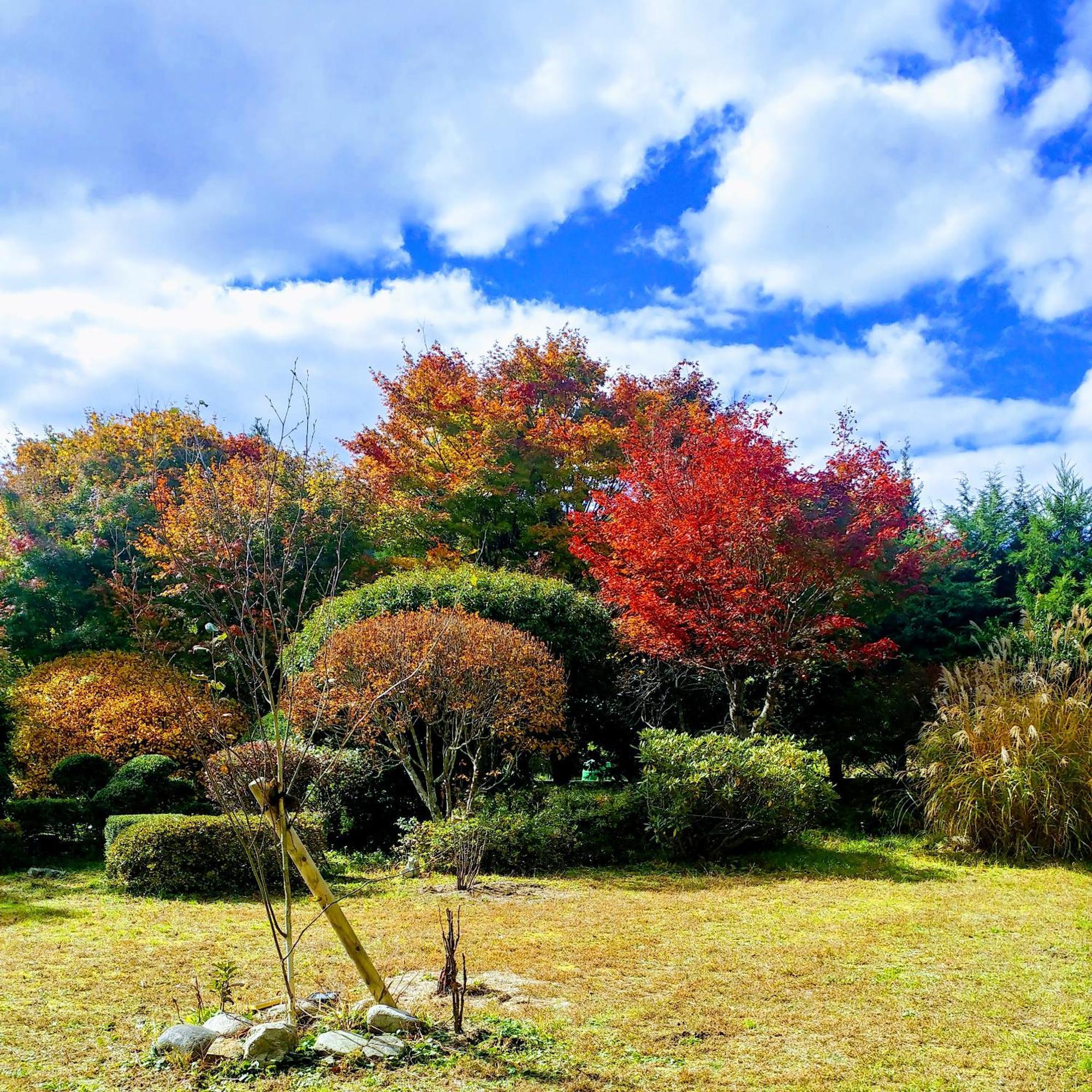 Maison d'hôtes さいの郷「椛」 à Kagamino Extérieur photo